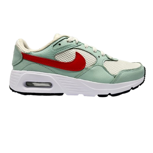 ZAP NIK CW4554-115 WMNS NIKE AIR 6